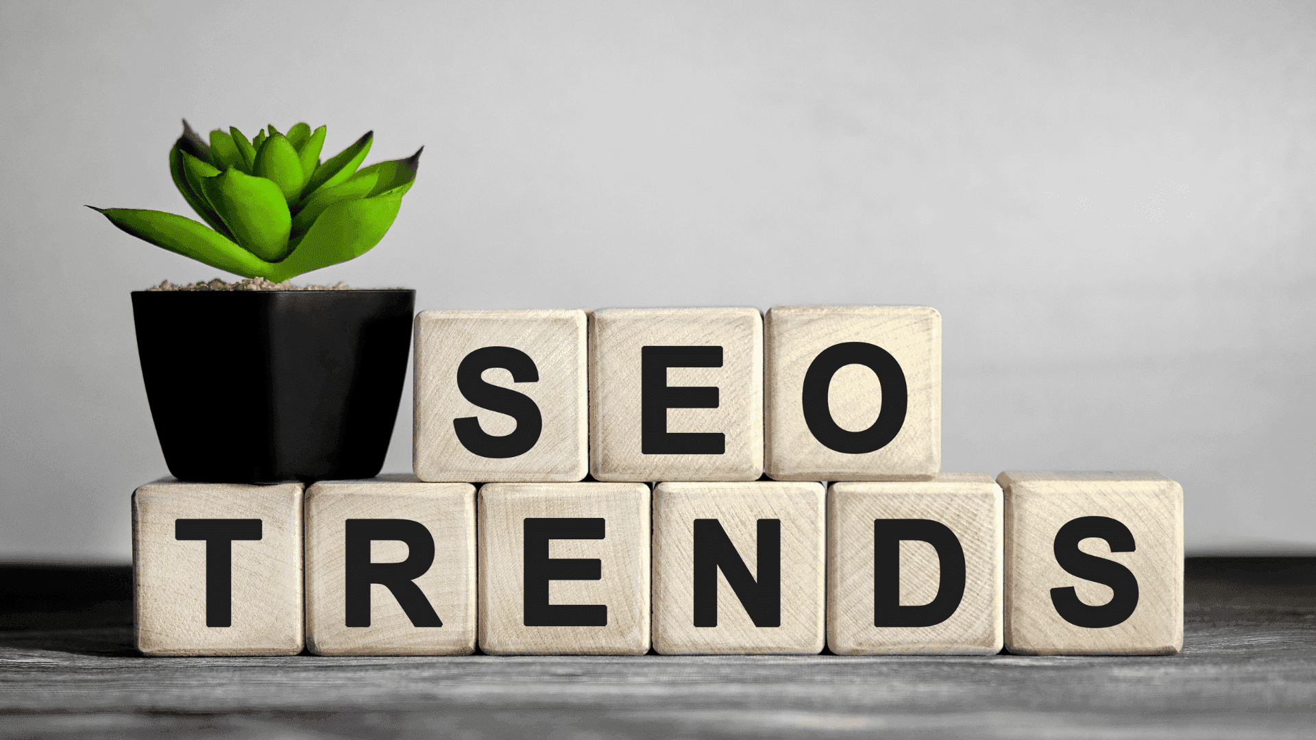 SEO Trends